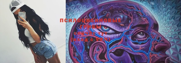 дмт Нязепетровск